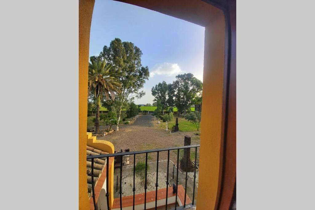 Cortijo San Jose Villa Seville Luaran gambar
